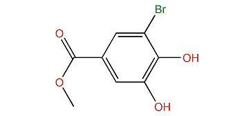 Methyl 3-bromo-4,5-dihydroxybenzoate